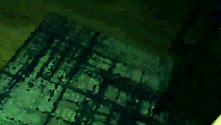 Muscle goddess Ecko Belle in piercing blowjob workout