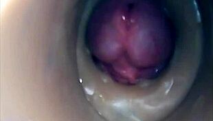 Internal Camera Captures Pussy Fucking And Big Cumshot