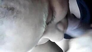 Brazilian brunette prostitute performs intense blowjob in Salvador