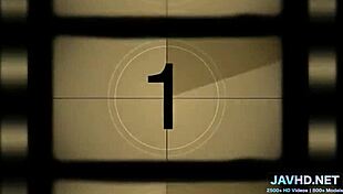 Japanese Beauties In Lingerie Vol 19