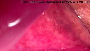 amateur pink pussy explored 172 days after losing virginity