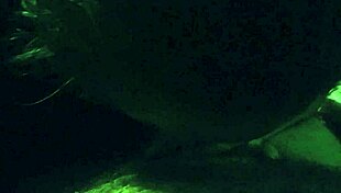 My wife is sucking and blowing her favorite cock toy with intense passion in our bedroom