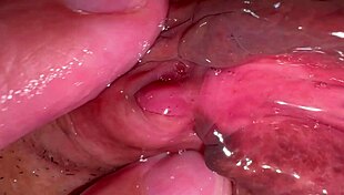 业余粉色阴道在失去处女后172天被探索