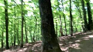 Clitlicker662のクレイジーな公衆オーガズムアップデート！