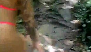 Took friends to woods for ass flashing