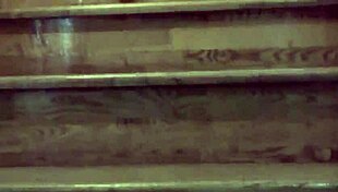 Zhang Xiaoyu Pamer Memek Cina Berbulu Panas Di Softcore