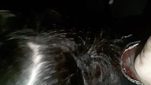 una buena chupada de verga