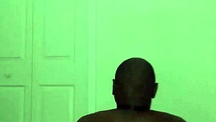 Taking Turns Stretching Like Zodiac Animals