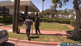 i watch spanish babes abella anderson and ava addams in orgy fuck