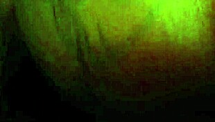 Exploring ebony pussy intimacy with big black cock.