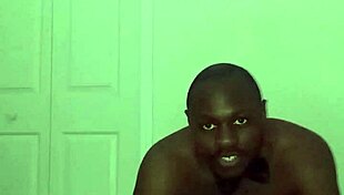 Taking Turns Stretching Like Zodiac Animals With Toy Bear