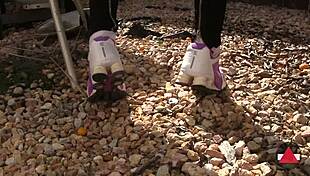 i love just walking around town in my comfy sneakers, feeling the ground under my feet