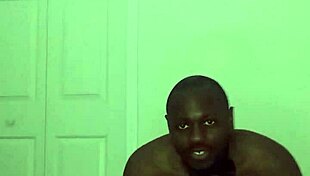 Taking Turns Stretching Like Zodiac Animals With Toy Bear