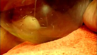 i pee on webcam outdoors for everyone to see