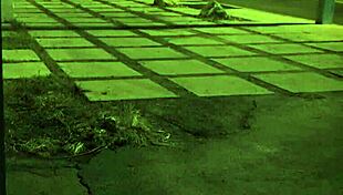 Stranded teen 18+ amateur roughfucked outdoors