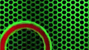 What A Deep Throat Aria Khaides Throat Was Made For Rome's BBC