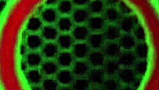 wild lesbian romp with strap-on riding.