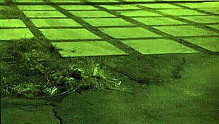 Stranded teen 18+ amateur roughfucked outdoors