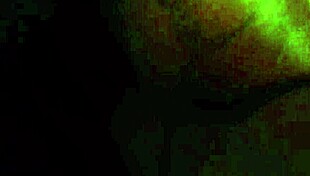 Exploring ebony pussy intimacy with big black cock.