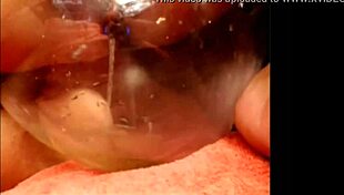 i pee on webcam outdoors for everyone to see