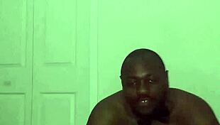 Taking Turns Stretching Like Zodiac Animals With Toy Bear