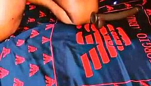 sundaydogood614 - update 502 - vid 20240922 140217 - sep 22 2024