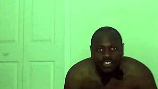 Taking Turns Stretching Like Zodiac Animals With Toy Bear