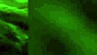 sexy cougar sucking dick in pov