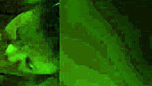 sexy cougar sucking dick in pov