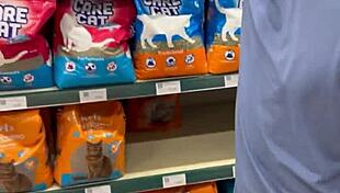 Exhibiting In Sao Paulo Sucking Dicks