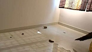 Indian maid enjoys fun time with devar