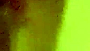 I got great hed from her