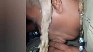 I snuck out for car chronicles 3 with blowjobs and sucking.