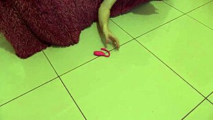 Sexy milf masturbates with new vibrator