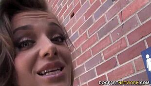 busty nika noire sucks shane diesel's bbc