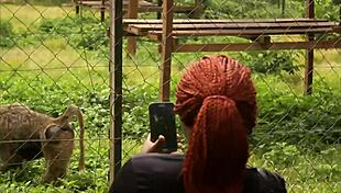 Footballer Fucks Mature Woman In Public Park