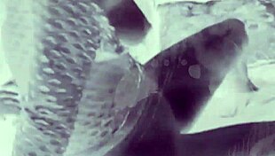 I-I just can't get enough of worshippin' that big black cock in the car, feelin' it deep in my tight pussy like a total whore.