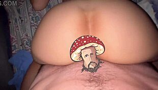 Emotional Reflections on a Special Seasonal Compilation Gift