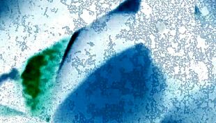 I-I just can't get enough of worshippin' that big black cock in the car, feelin' it deep in my tight pussy like a total whore.