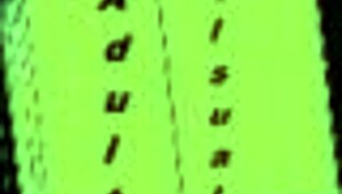 in SAVIOR 12, the HERO rises up.