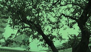 Affair With Beautiful Young Japanese Wife