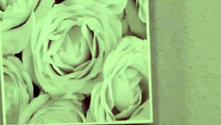 Brunette Beauty Kyra Black Enjoys Hard Anal Sex With European Pornstar