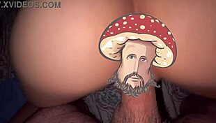 Emotional Reflections on a Special Seasonal Compilation Gift