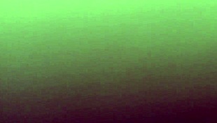 oh, with my chilean prostitute! what a wild night!