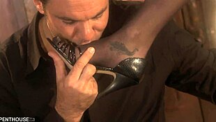 i share horny stud with brooke and violet