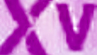 Sofia Smith takes two big cocks, her ass gaping wide in the action