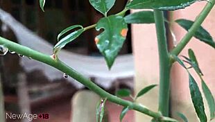 me and my best friend sharing my boyfriend's dick