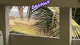 pussy view beach resort outdoor flash