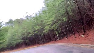 Clitlicker662 Flashes Naked Cock in Public Street Muff Diving