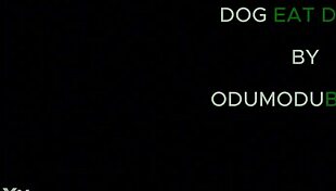 Nigerian Girls Engage In Rough Ebony Fucking